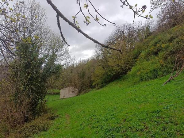 Finca rústica en Bezanes nucleo rural s/n Sn