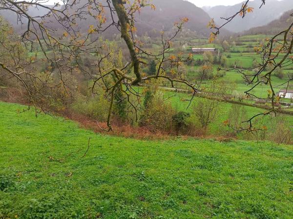 Finca rústica en Bezanes nucleo rural s/n Sn