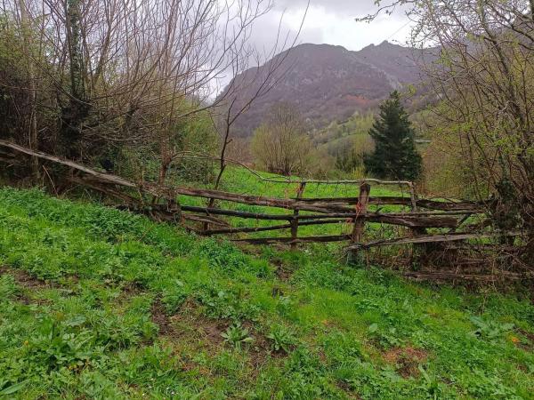 Finca rústica en Bezanes nucleo rural s/n Sn