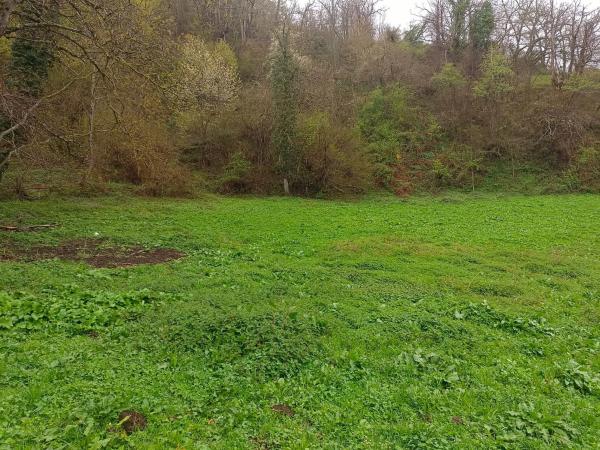 Finca rústica en Bezanes nucleo rural s/n Sn