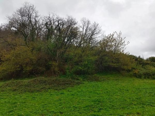 Finca rústica en Bezanes nucleo rural s/n Sn