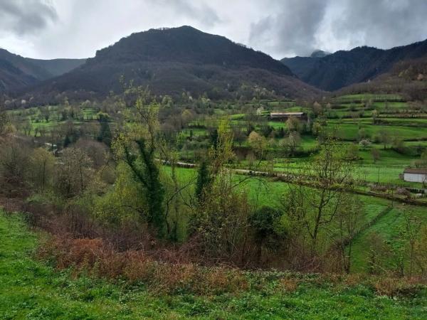 Finca rústica en Bezanes nucleo rural s/n Sn