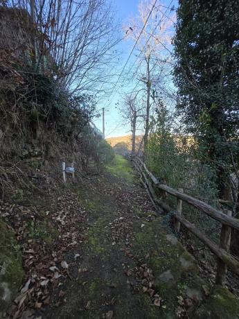 Casa de pueblo en El Caleyo, 11