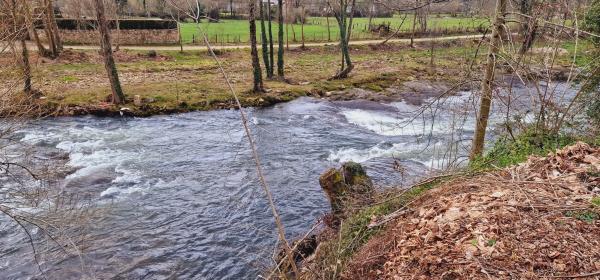 Casa de pueblo en Iguanzo