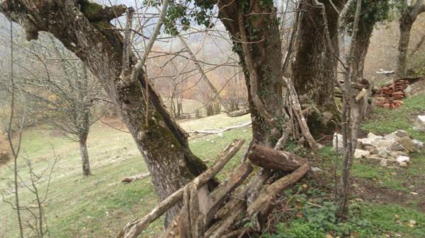 Casa rural en La felguerina, 29