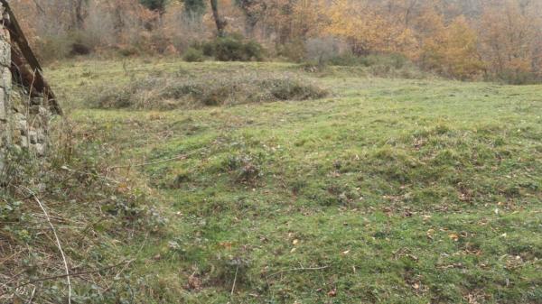 Casa rural en La felguerina, 29