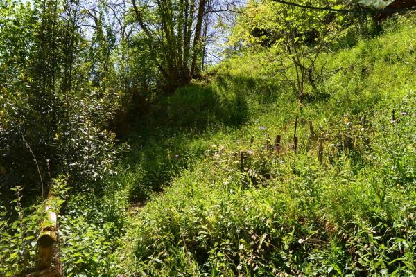 Casa de pueblo en Argayadas s/n sn