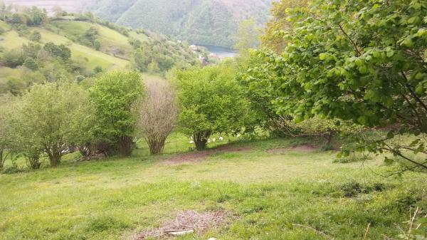 Finca rústica en tanes s/n