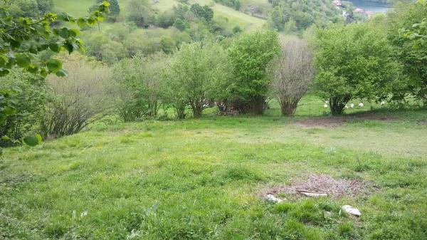 Finca rústica en tanes s/n