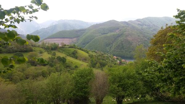 Finca rústica en tanes s/n