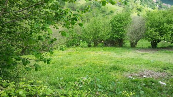 Finca rústica en tanes s/n