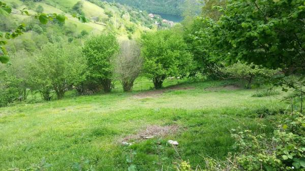 Finca rústica en tanes s/n