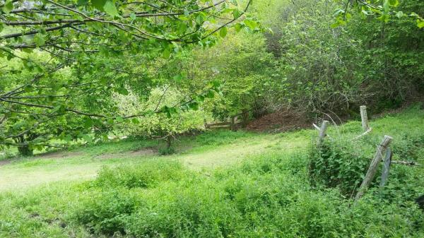 Finca rústica en tanes s/n