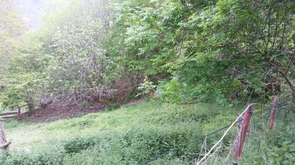 Finca rústica en tanes s/n