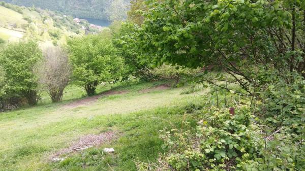 Finca rústica en tanes s/n