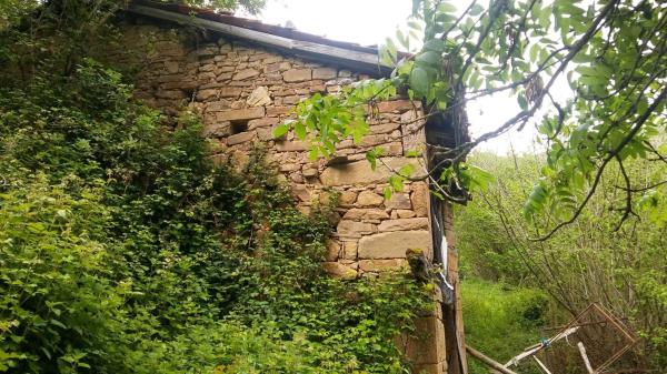 Finca rústica en tanes s/n