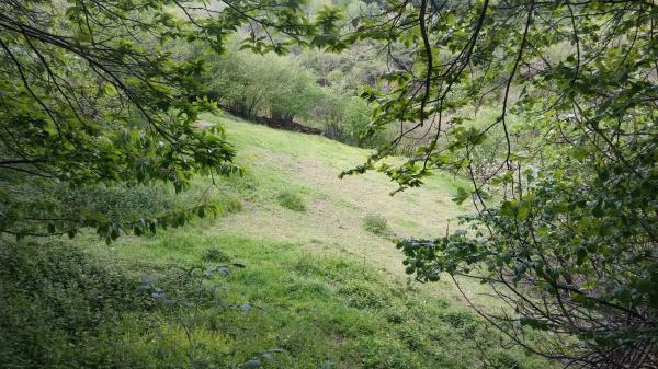 Finca rústica en tanes s/n