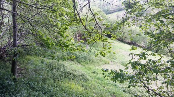 Finca rústica en tanes s/n