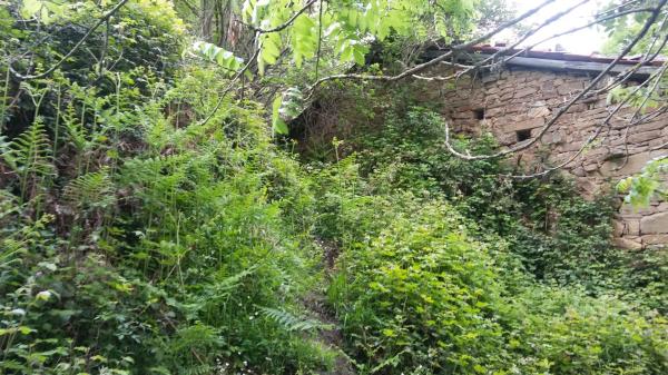 Finca rústica en tanes s/n