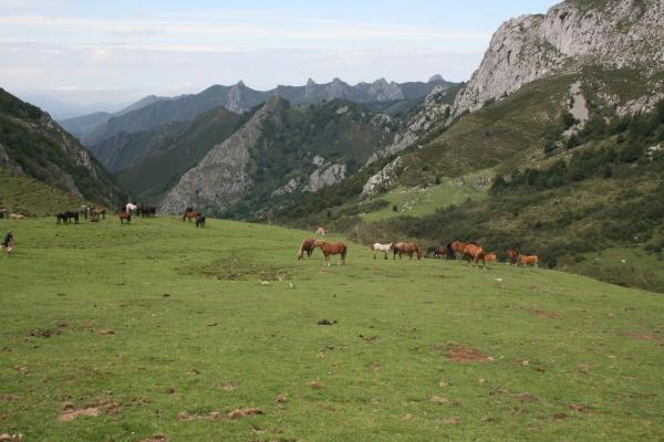 Casa de pueblo en Lugar Prieres, 27