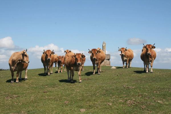Casa de pueblo en Lugar Prieres, 27