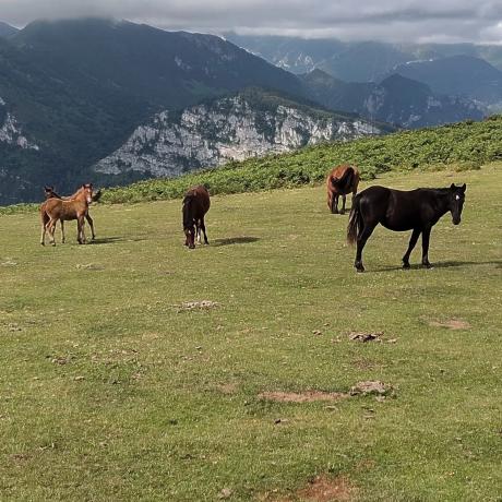 Casa rural en Tanes s/n