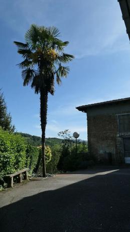 Casa independiente en Los Torgados, 10