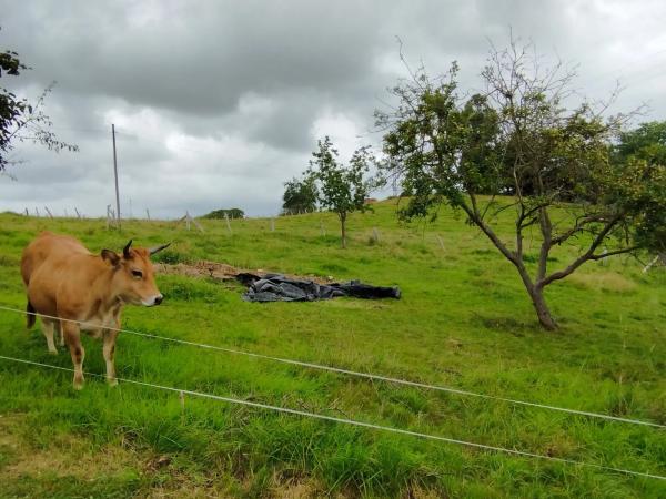 Casa de pueblo en Caserio Arma,l', 13