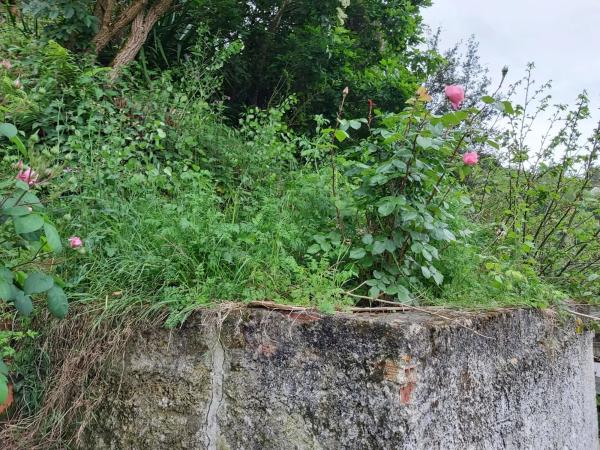Casa independiente en calle Extremadura, 11