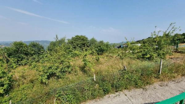 Casa independiente en Roiles