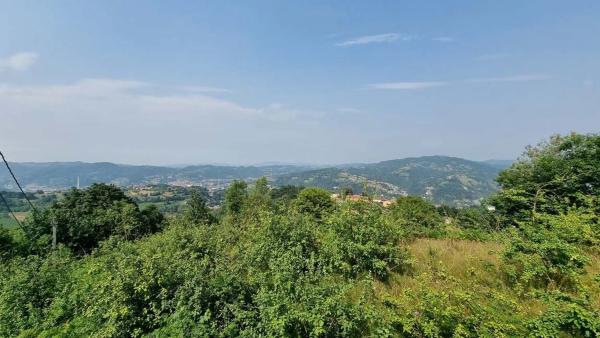 Casa independiente en Roiles