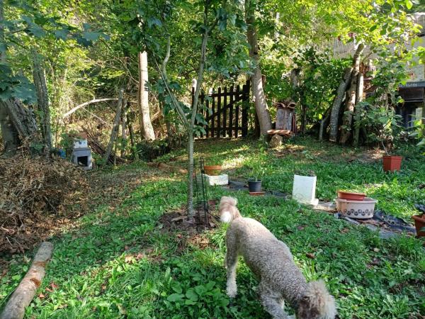 Casa de pueblo en Aldea Pielgos, 11 , 33989 Cp