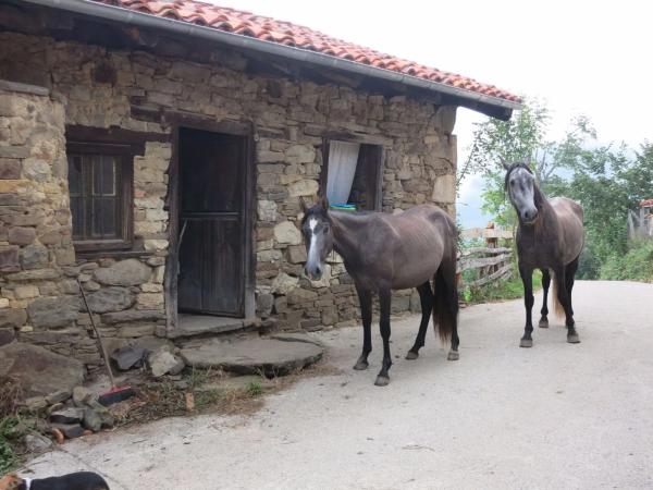 Casa de pueblo en - s/n