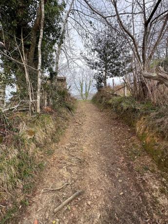 Casa independiente en Les Cueves s/n