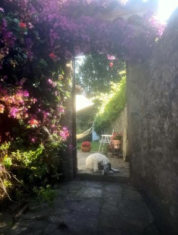 Casa independiente en Coceña de arriba, 4