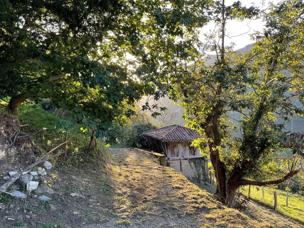 Casa de pueblo en Llamigo, 14