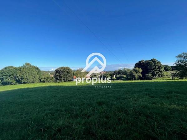 Casa independiente en Vega,La