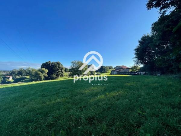 Casa independiente en Vega,La