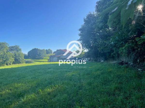 Casa independiente en Vega,La