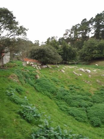 Casa de pueblo en CL Mata s/n