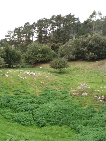 Casa de pueblo en CL Mata s/n