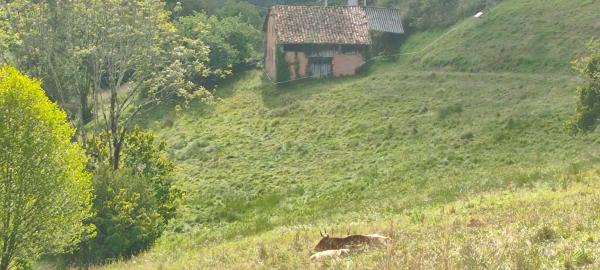 Casa rural en Lugar Pedroso, 8