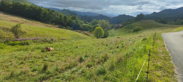 Casa rural en Lugar Pedroso, 8