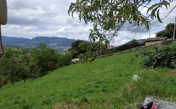 Casa independiente en Valle, Piloña, Asturias, 1