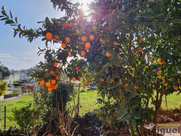 Casa independiente en Arenas