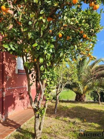Casa independiente en Arenas