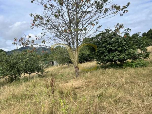 Casa independiente en Lugar Miyares