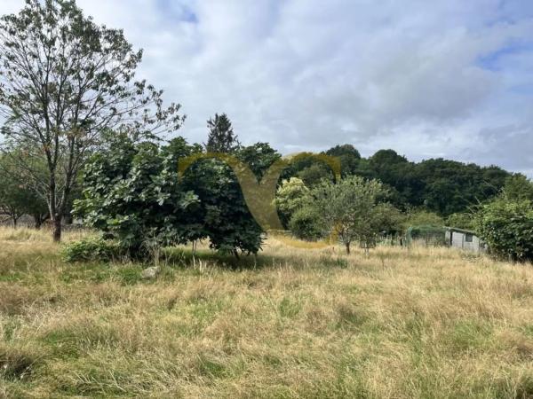 Casa independiente en Lugar Miyares