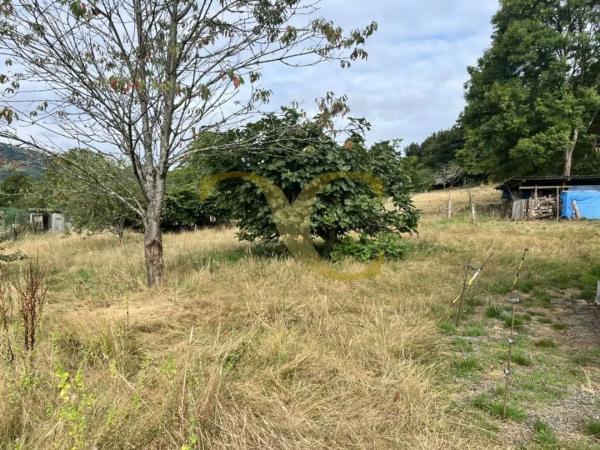 Casa independiente en Lugar Miyares