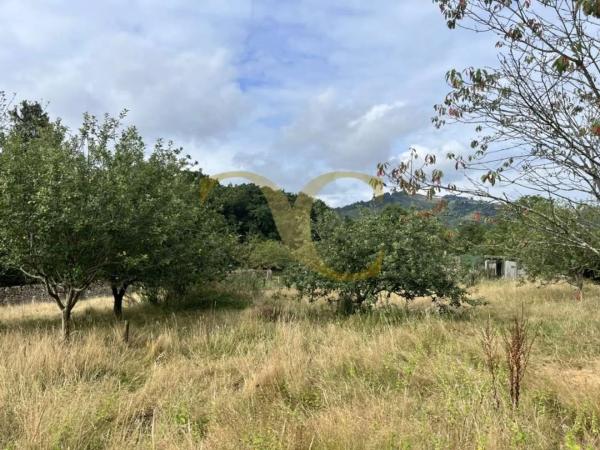 Casa independiente en Lugar Miyares